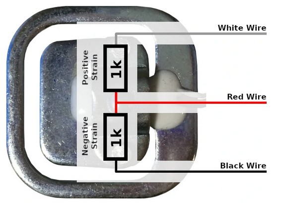 Load Cell